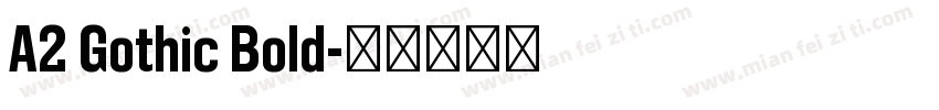 A2 Gothic Bold字体转换